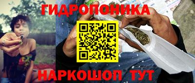 винт Будённовск