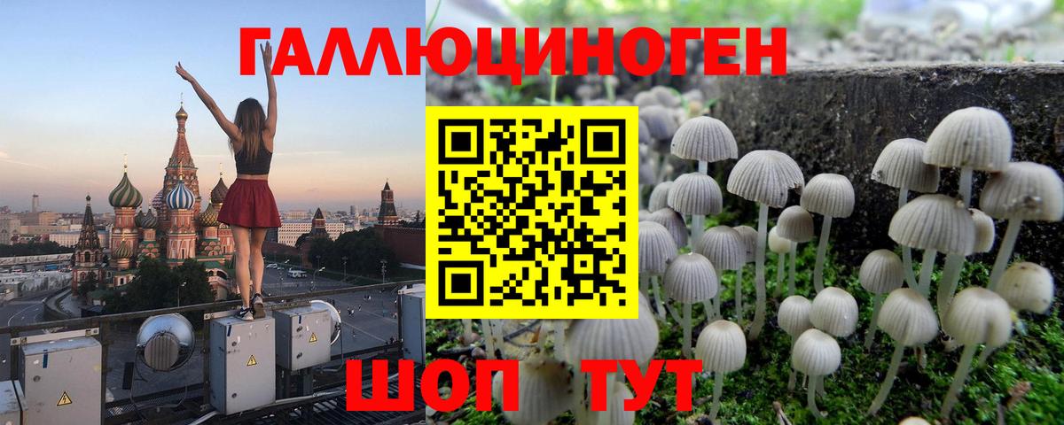 Ревда  Галлюциногенные грибы ЛСД  Вход с VPN 