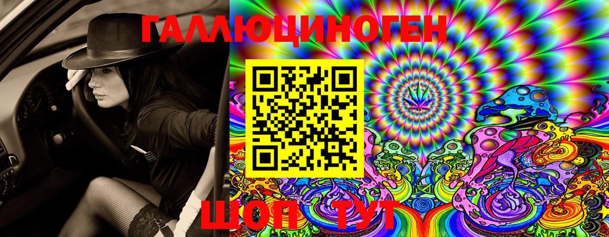 Псилоцибиновые грибы Psilocybe Ревда