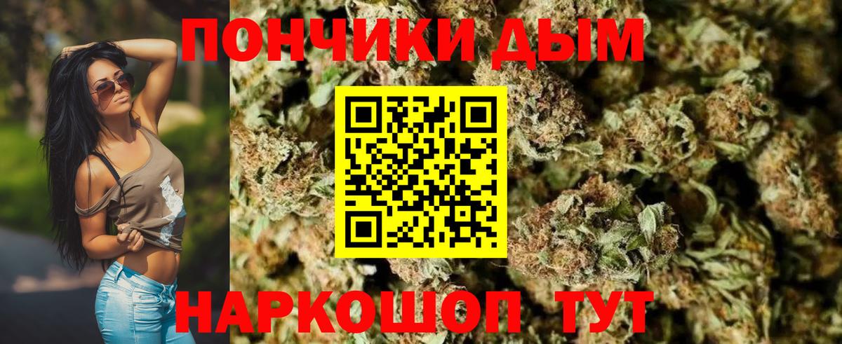 Конопля ГИДРОПОН Ревда